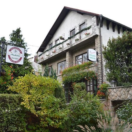Bed and Breakfast Muskatli Panzio Győr Zewnętrze zdjęcie