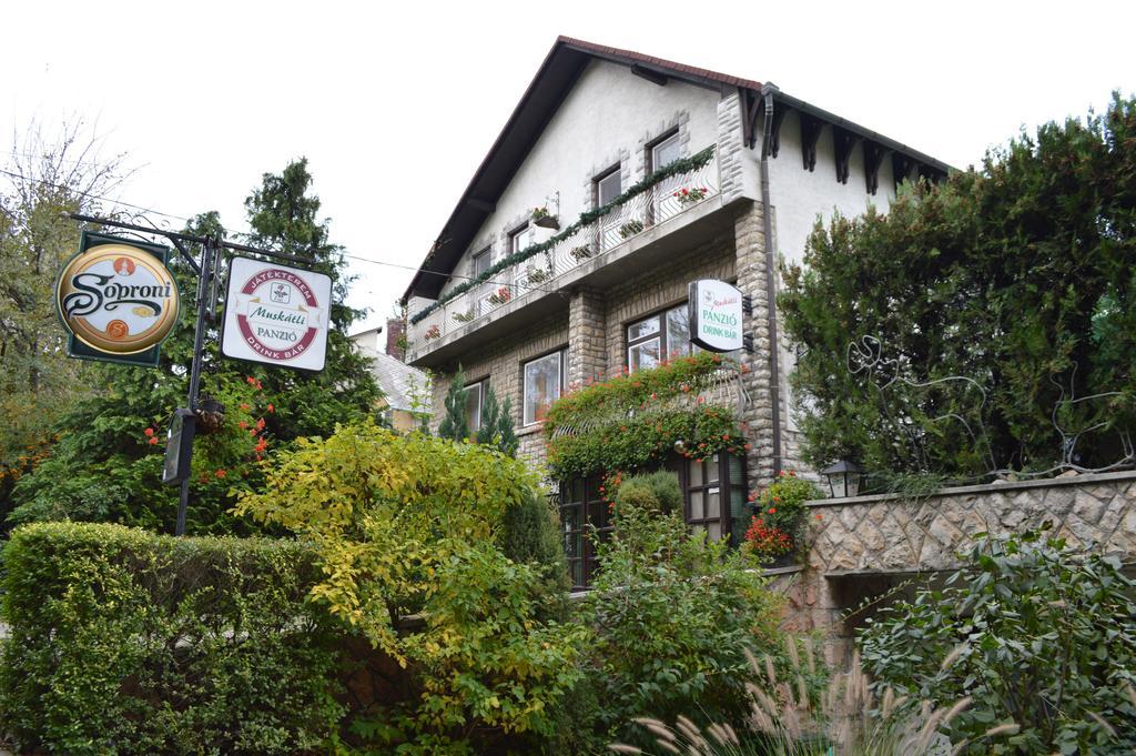 Bed and Breakfast Muskatli Panzio Győr Zewnętrze zdjęcie