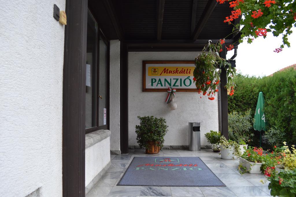 Bed and Breakfast Muskatli Panzio Győr Zewnętrze zdjęcie