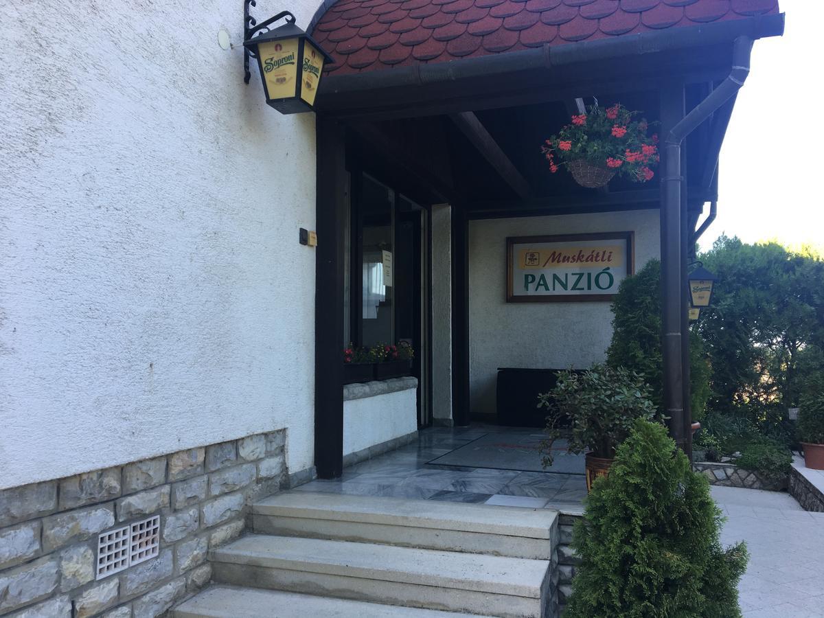 Bed and Breakfast Muskatli Panzio Győr Zewnętrze zdjęcie